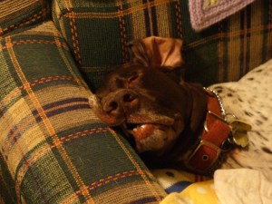 Just sleeping here, not dead