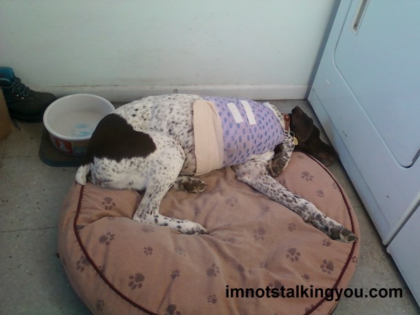 The leg is still there, just heavily bandaged.