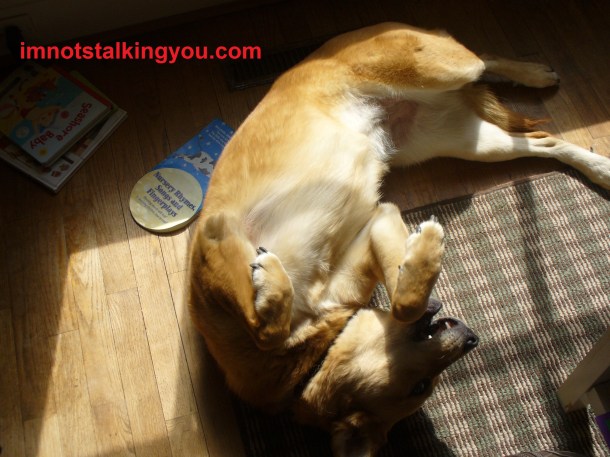 Ferocious attack animal!  (Must rub belly to pass)