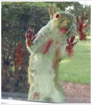 Photo: the-bradford.blogspot.com