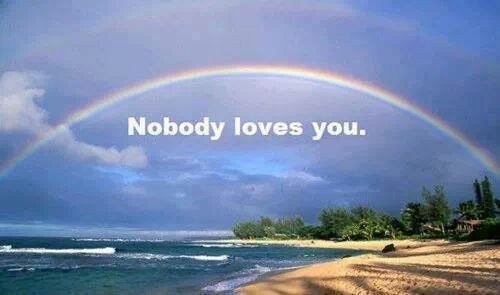 The wise rainbow knows all.