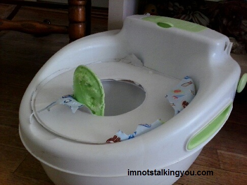 The little potty after the dog(s) got ahold of it.