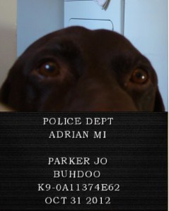 I present, the POINTER