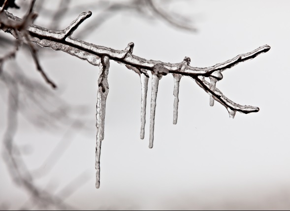 Freezing rain, in case you live somewhere without it.