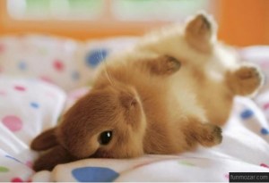 Hope you had a hoppy Easter.