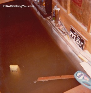 Our flooded basement, Riga, MI, 1981