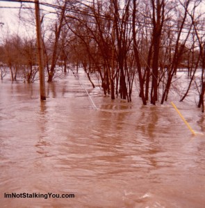 Flooded Park in Blissfield, MI, 1981