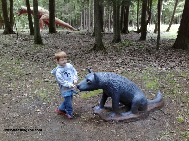 M feeding one of the animals.
