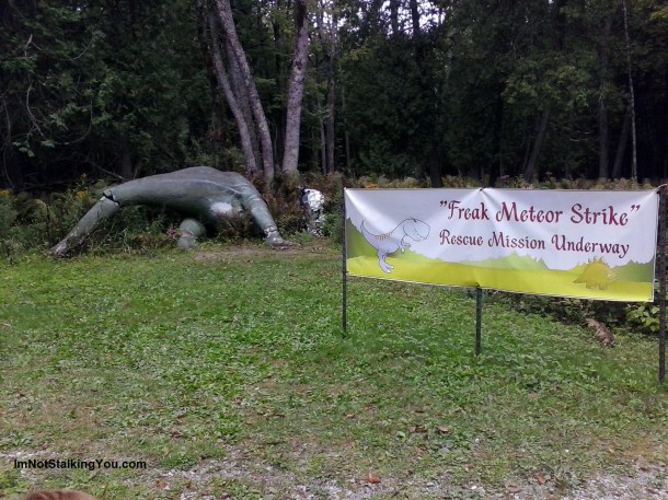 This was the only sick animal, and I thought it was very clever how they explained his illness.